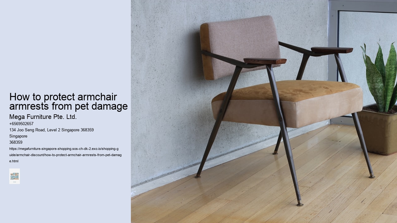 How to protect armchair armrests from pet damage