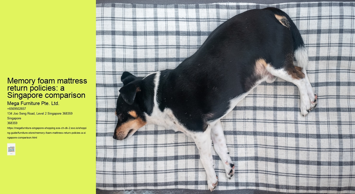 Memory foam mattress return policies: a Singapore comparison